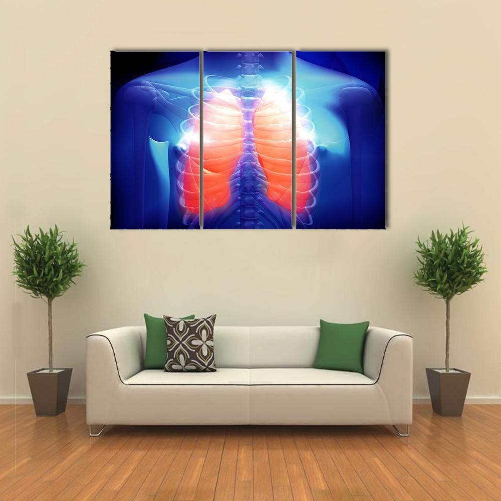 Illustration Of Human Lungs Canvas Wall Art-3 Horizontal-Gallery Wrap-37" x 24"-Tiaracle