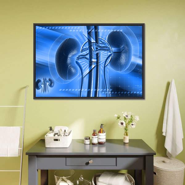 Illustration Of Kidney Canvas Wall Art-1 Piece-Floating Frame-24" x 16"-Tiaracle