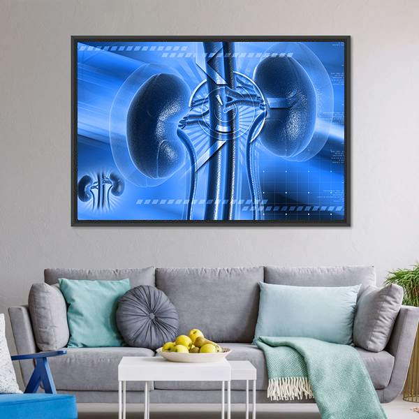 Illustration Of Kidney Canvas Wall Art-5 Horizontal-Gallery Wrap-22" x 12"-Tiaracle