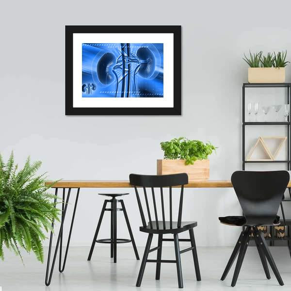 Illustration Of Kidney Canvas Wall Art-5 Horizontal-Gallery Wrap-22" x 12"-Tiaracle