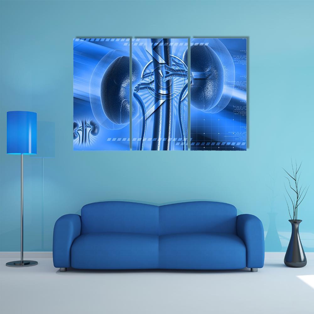 Illustration Of Kidney Canvas Wall Art-3 Horizontal-Gallery Wrap-37" x 24"-Tiaracle