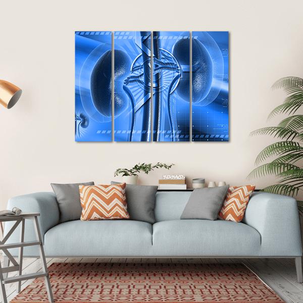 Illustration Of Kidney Canvas Wall Art-4 Horizontal-Gallery Wrap-34" x 24"-Tiaracle