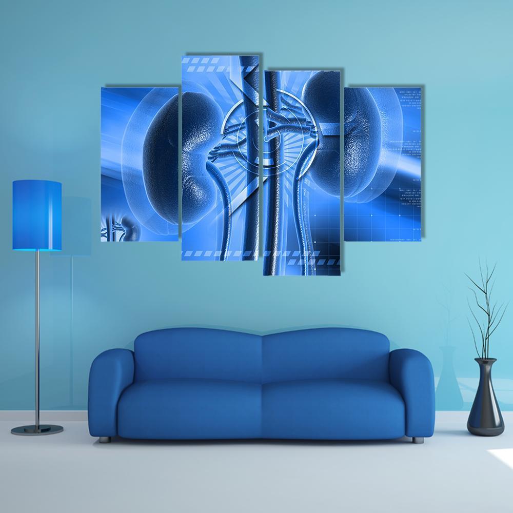 Illustration Of Kidney Canvas Wall Art-4 Pop-Gallery Wrap-50" x 32"-Tiaracle