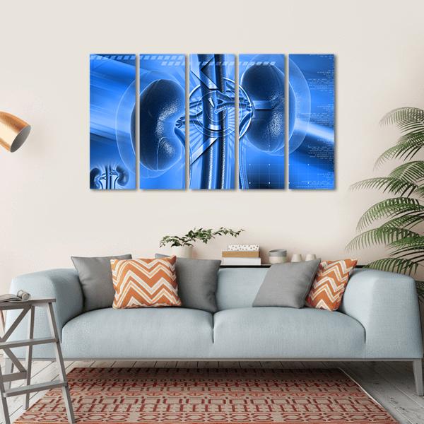 Illustration Of Kidney Canvas Wall Art-5 Horizontal-Gallery Wrap-22" x 12"-Tiaracle