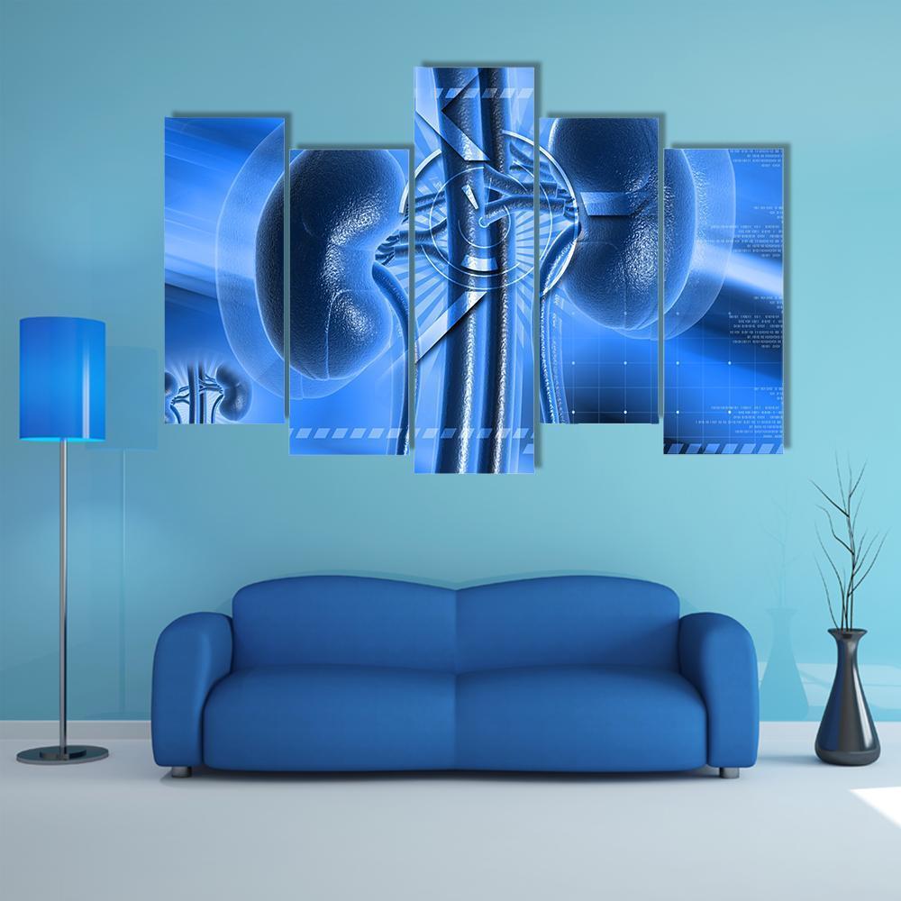 Illustration Of Kidney Canvas Wall Art-5 Pop-Gallery Wrap-47" x 32"-Tiaracle