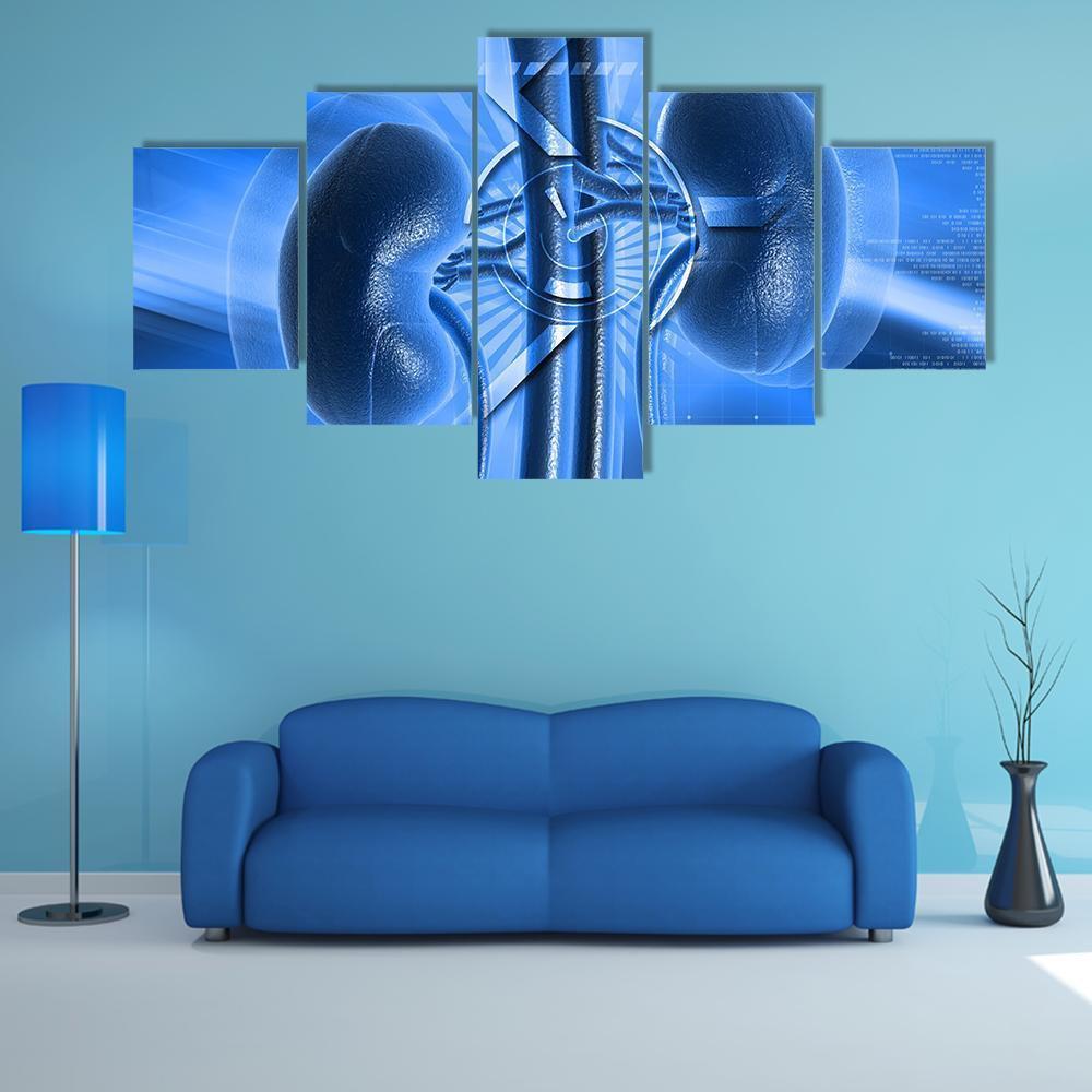 Illustration Of Kidney Canvas Wall Art-5 Star-Gallery Wrap-62" x 32"-Tiaracle