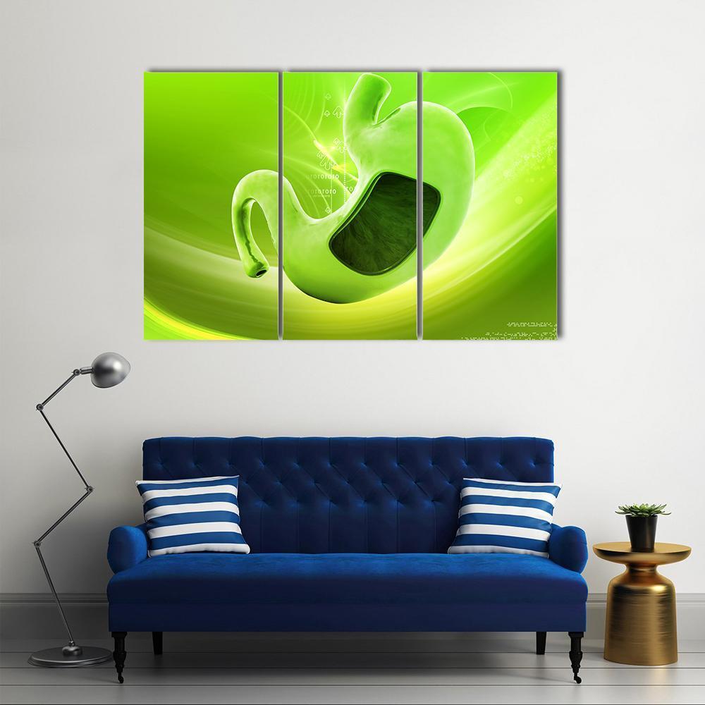 Illustration Of Stomach Canvas Wall Art-3 Horizontal-Gallery Wrap-37" x 24"-Tiaracle