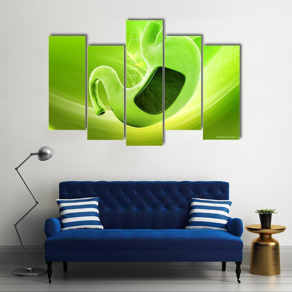 Illustration Of Stomach Canvas Wall Art-5 Pop-Gallery Wrap-47" x 32"-Tiaracle