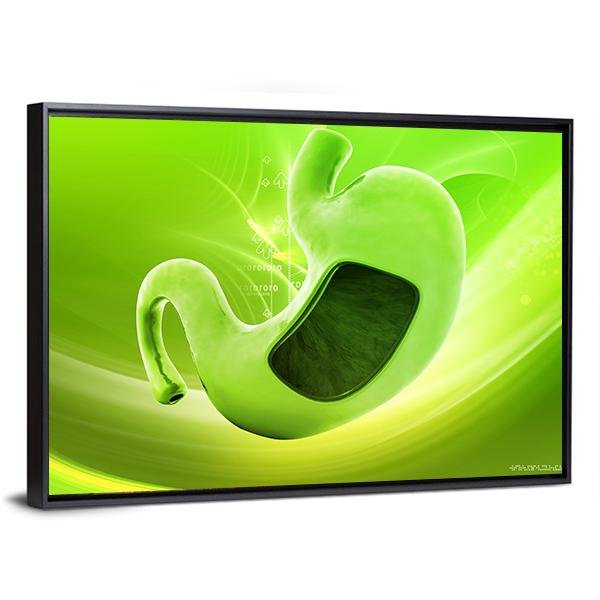 Illustration Of Stomach Canvas Wall Art-3 Horizontal-Gallery Wrap-25" x 16"-Tiaracle