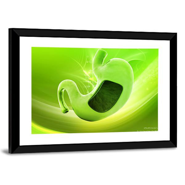 Illustration Of Stomach Canvas Wall Art-3 Horizontal-Gallery Wrap-25" x 16"-Tiaracle