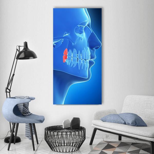 Human Teeth Illustration Vertical Canvas Wall Art-3 Vertical-Gallery Wrap-12" x 25"-Tiaracle