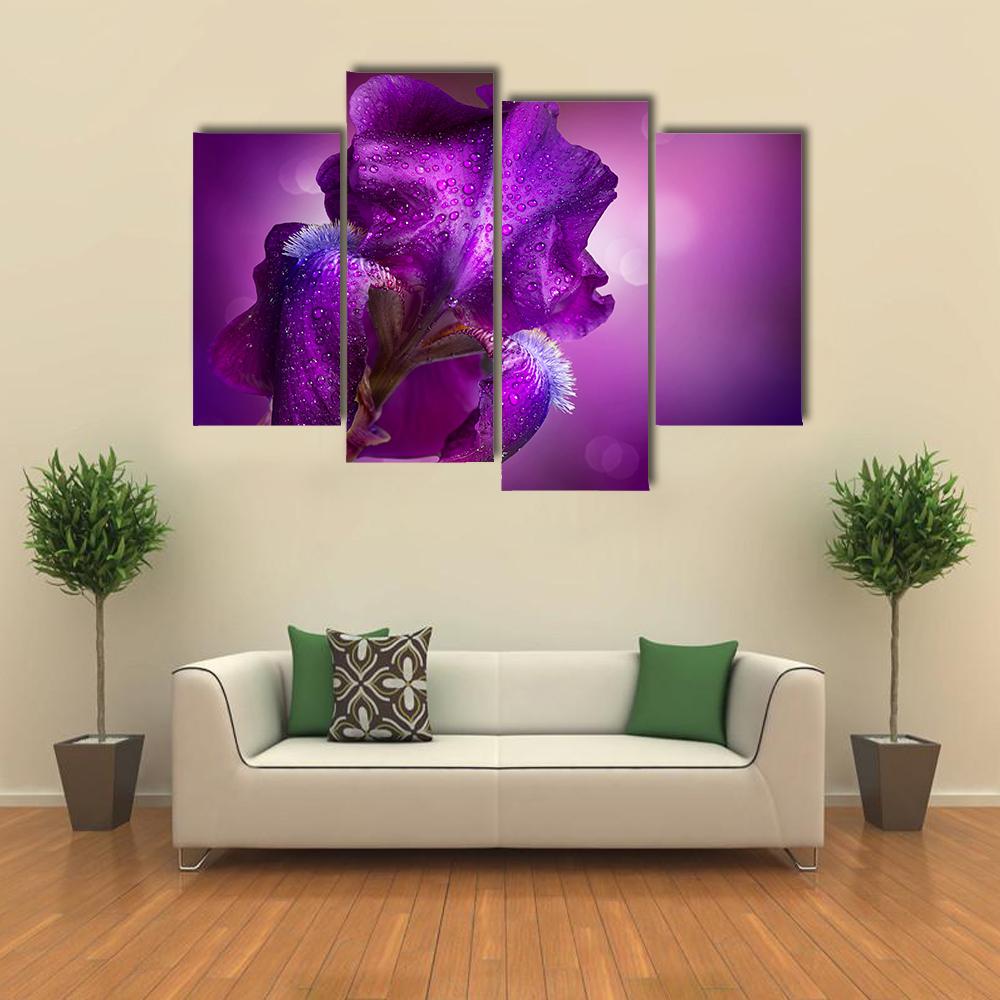 Iris Flowers Canvas Wall Art-4 Pop-Gallery Wrap-34" x 20"-Tiaracle