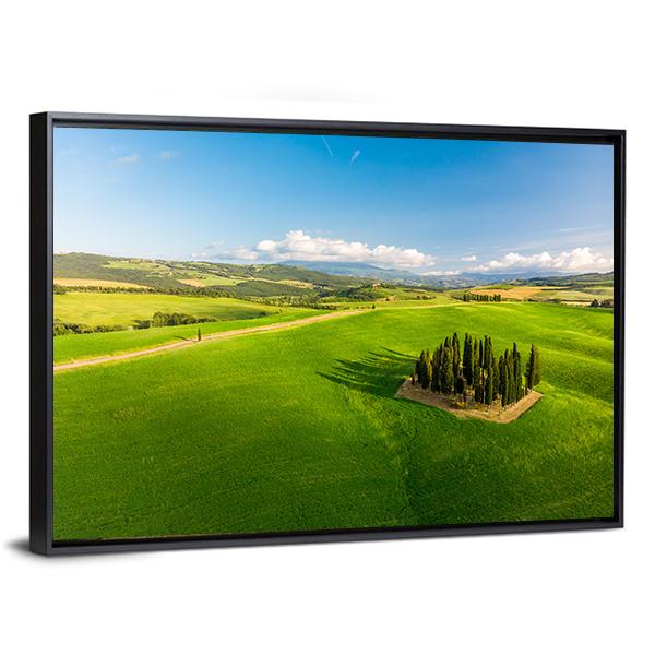 Italian Cypresses Tuscany Canvas Wall Art-3 Horizontal-Gallery Wrap-25" x 16"-Tiaracle