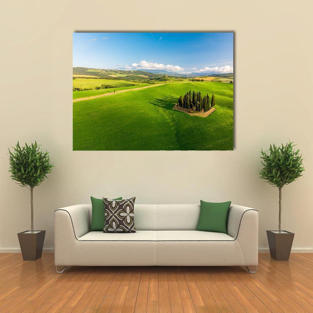 Italian Cypresses Tuscany Canvas Wall Art-1 Piece-Gallery Wrap-48" x 32"-Tiaracle
