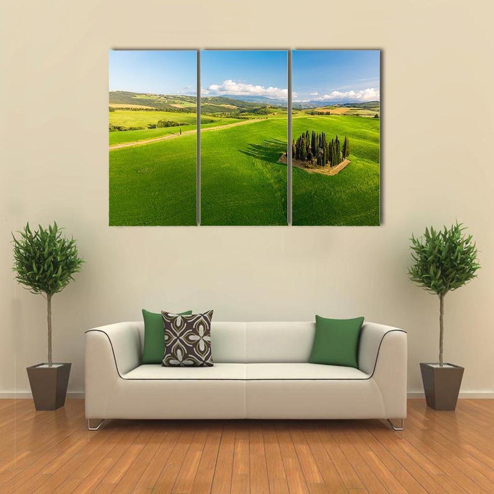 Italian Cypresses Tuscany Canvas Wall Art-3 Horizontal-Gallery Wrap-37" x 24"-Tiaracle