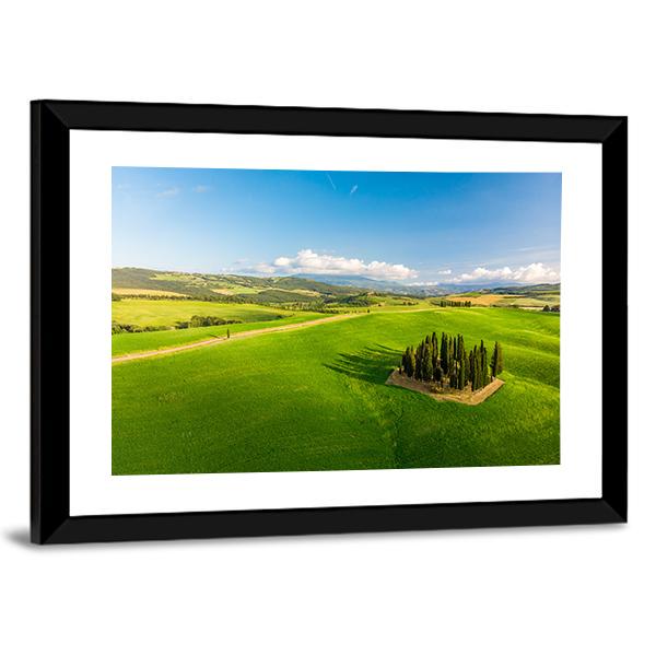 Italian Cypresses Tuscany Panoramic Canvas Wall Art-1 Piece-36" x 12"-Tiaracle