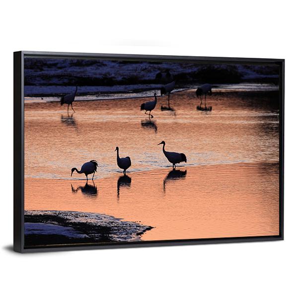 Japanese Crane Canvas Wall Art-3 Horizontal-Gallery Wrap-25" x 16"-Tiaracle