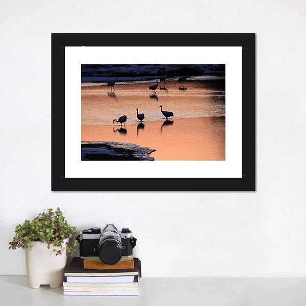Japanese Crane Canvas Wall Art-1 Piece-Framed Print-20" x 16"-Tiaracle