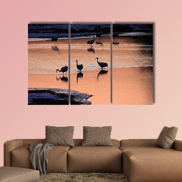 Japanese Crane Canvas Wall Art-3 Horizontal-Gallery Wrap-37" x 24"-Tiaracle