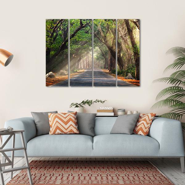 Journey Through Forest Canvas Wall Art-4 Horizontal-Gallery Wrap-34" x 24"-Tiaracle