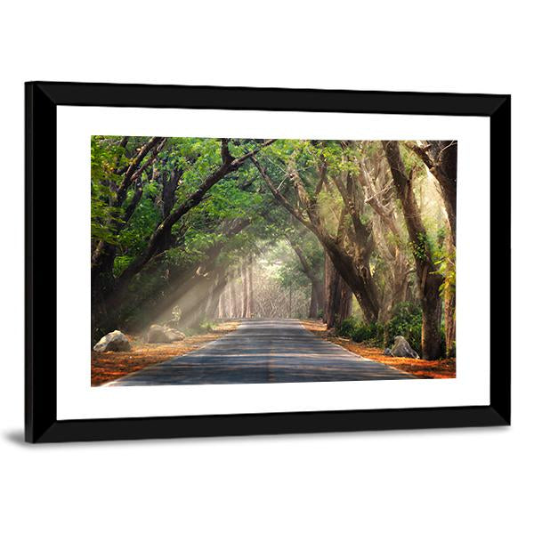 Journey Through Forest Canvas Wall Art-3 Horizontal-Gallery Wrap-25" x 16"-Tiaracle