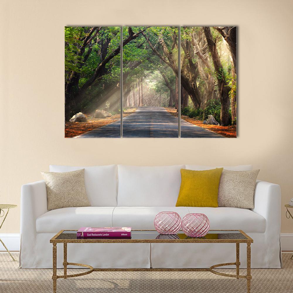 Journey Through Forest Canvas Wall Art-3 Horizontal-Gallery Wrap-37" x 24"-Tiaracle