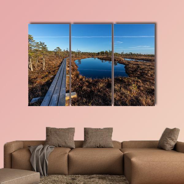 Kemeri National Park Canvas Wall Art-3 Horizontal-Gallery Wrap-37" x 24"-Tiaracle