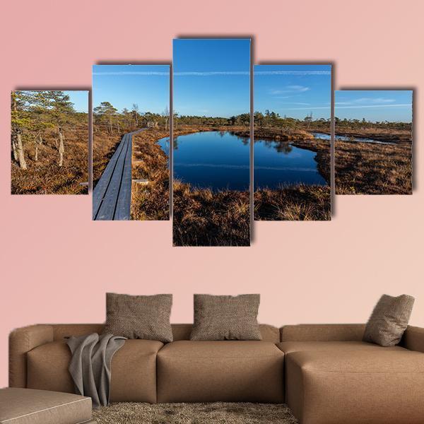 Kemeri National Park Canvas Wall Art-5 Pop-Gallery Wrap-47" x 32"-Tiaracle