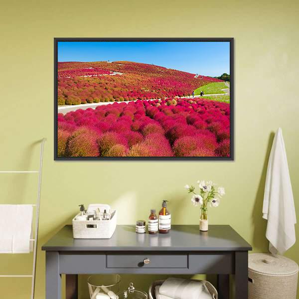 Kochias Hill In Autumn Canvas Wall Art-1 Piece-Floating Frame-24" x 16"-Tiaracle