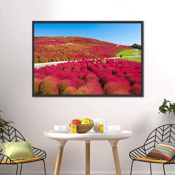Kochias Hill In Autumn Canvas Wall Art-3 Horizontal-Gallery Wrap-25" x 16"-Tiaracle