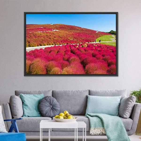 Kochias Hill In Autumn Canvas Wall Art-3 Horizontal-Gallery Wrap-25" x 16"-Tiaracle