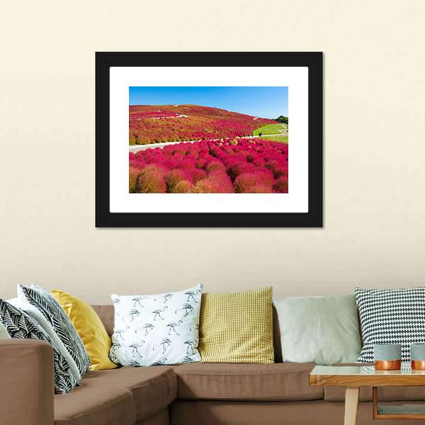 Kochias Hill In Autumn Canvas Wall Art-3 Horizontal-Gallery Wrap-25" x 16"-Tiaracle
