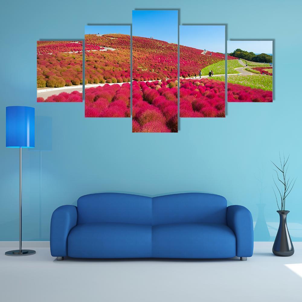 Kochias Hill In Autumn Canvas Wall Art-5 Star-Gallery Wrap-62" x 32"-Tiaracle