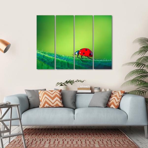 Ladybug On Leaf Canvas Wall Art-4 Horizontal-Gallery Wrap-34" x 24"-Tiaracle