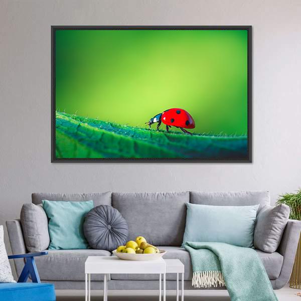 Ladybug On Leaf Canvas Wall Art-3 Horizontal-Gallery Wrap-25" x 16"-Tiaracle