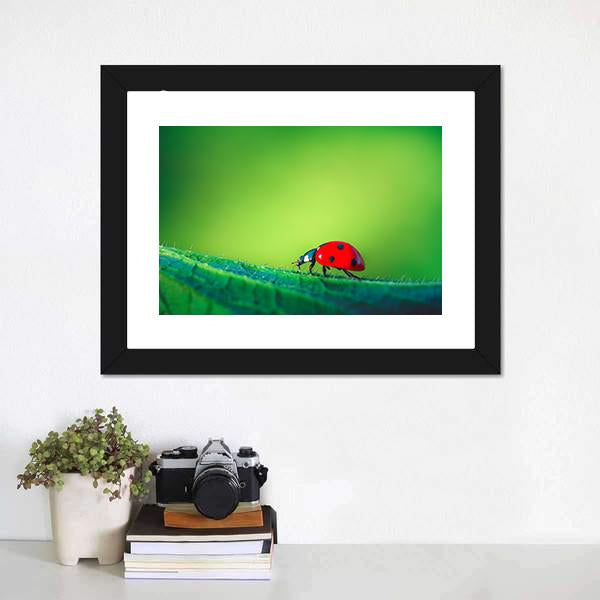 Ladybug On Leaf Canvas Wall Art-1 Piece-Framed Print-20" x 16"-Tiaracle