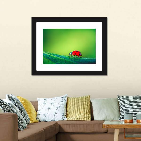 Ladybug On Leaf Canvas Wall Art-3 Horizontal-Gallery Wrap-25" x 16"-Tiaracle