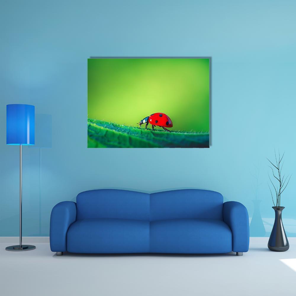 Ladybug on Leaf Canvas Wall Art in red and green, single panel hung on a wall