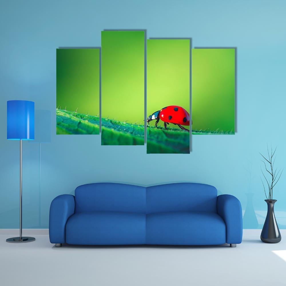 Ladybug On Leaf Canvas Wall Art-4 Pop-Gallery Wrap-50" x 32"-Tiaracle