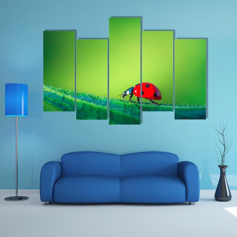 Ladybug On Leaf Canvas Wall Art-5 Pop-Gallery Wrap-47" x 32"-Tiaracle
