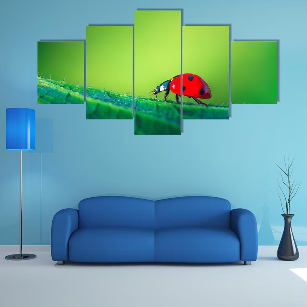 Ladybug On Leaf Canvas Wall Art-5 Star-Gallery Wrap-62" x 32"-Tiaracle