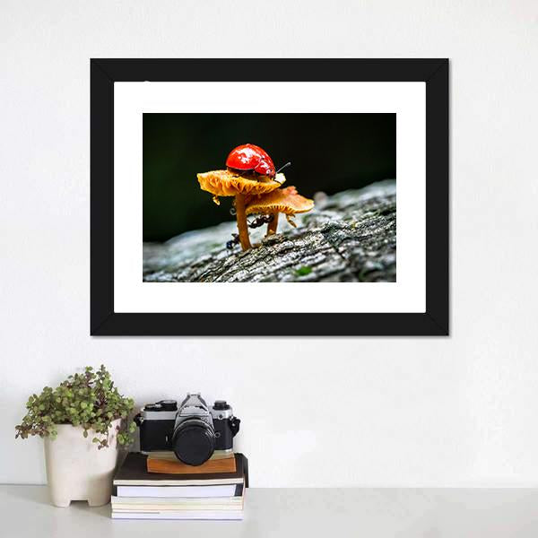 Ladybug On Mushroom Canvas Wall Art-1 Piece-Framed Print-20" x 16"-Tiaracle