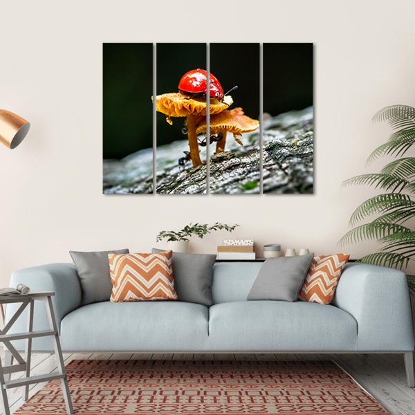 Ladybug On Mushroom Canvas Wall Art-4 Horizontal-Gallery Wrap-34" x 24"-Tiaracle