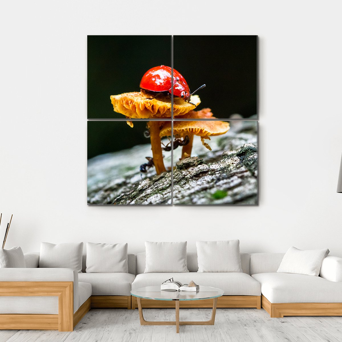 Ladybug On Mushroom Canvas Wall Art-4 Square-Gallery Wrap-17" x 17"-Tiaracle