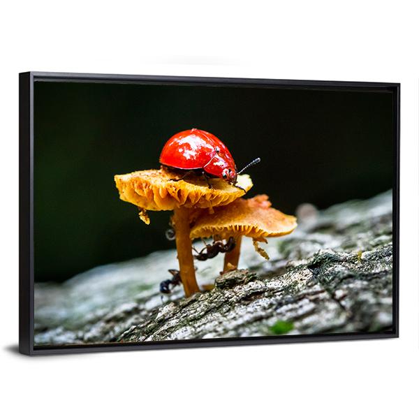 Ladybug On Mushroom Canvas Wall Art-3 Horizontal-Gallery Wrap-25" x 16"-Tiaracle