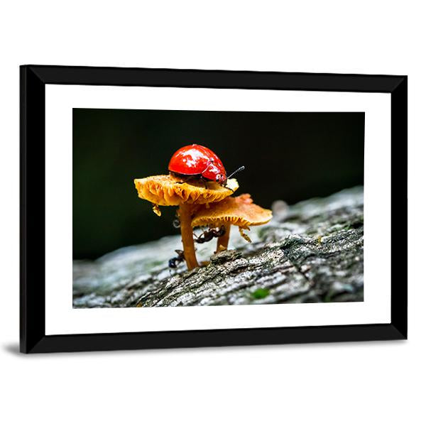 Ladybug On Mushroom Canvas Wall Art-3 Horizontal-Gallery Wrap-25" x 16"-Tiaracle