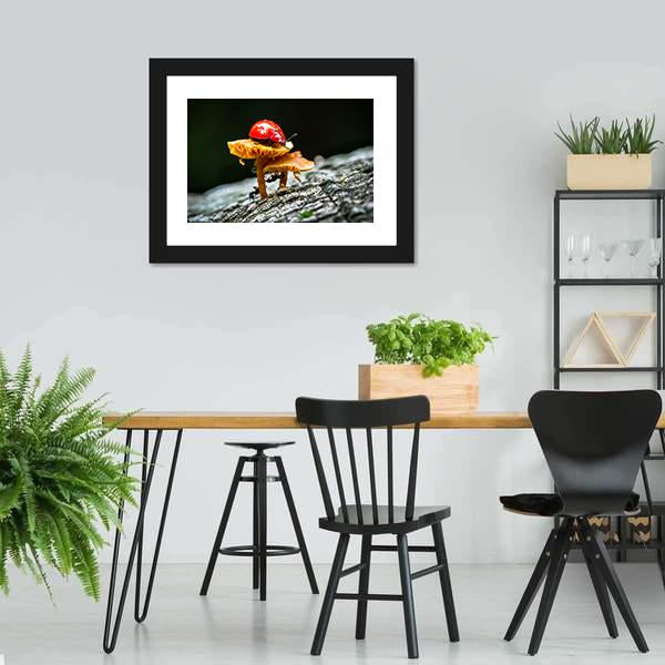 Ladybug On Mushroom Canvas Wall Art-3 Horizontal-Gallery Wrap-25" x 16"-Tiaracle