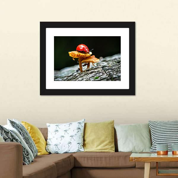 Ladybug On Mushroom Canvas Wall Art-3 Horizontal-Gallery Wrap-25" x 16"-Tiaracle