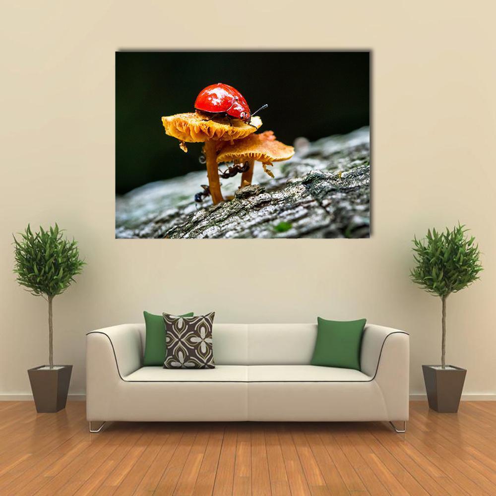 Ladybug on Mushroom Canvas Wall Art in black, red and yellow, single panel hung on a wall