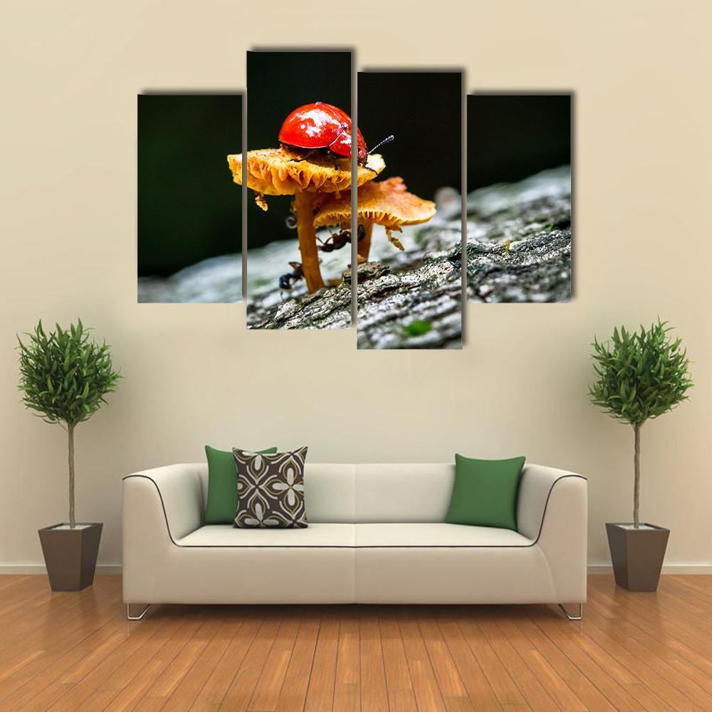 Ladybug On Mushroom Canvas Wall Art-4 Pop-Gallery Wrap-50" x 32"-Tiaracle